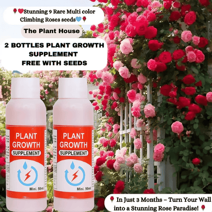 🌹 Elegant Climbing Rose Flower Seeds- Rare Seeds (2 Plant Growth Supplement Free)